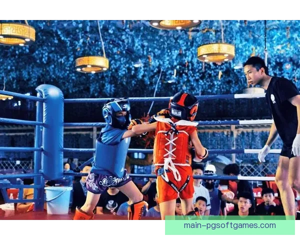 搏击风云：拳击邀请赛的巅峰对决