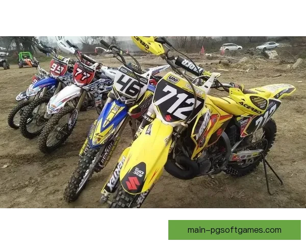 体育场上风起云涌：热血摔跤直播盛宴