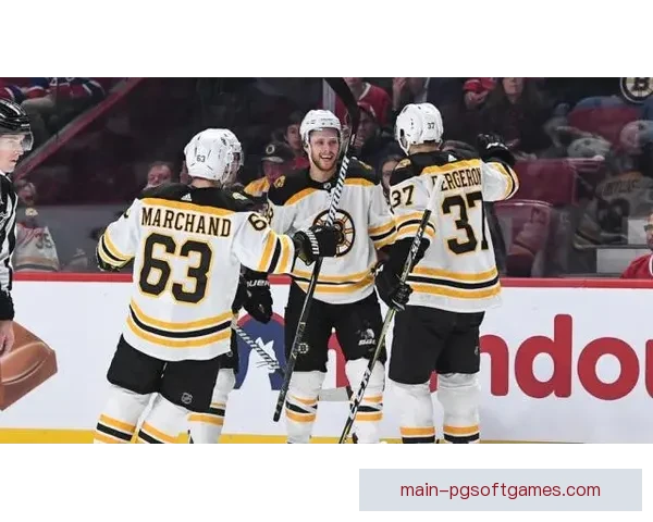 全面解读冰球直播：赛事分析、战况回顾、球员专访一网打尽