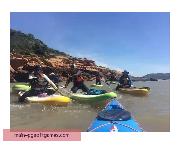 冲浪数据分析：探索波浪之下的智慧海洋