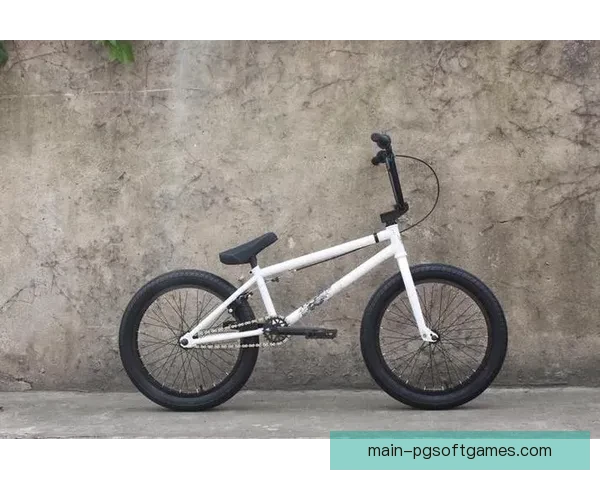 学习BMX：初学者入门指南