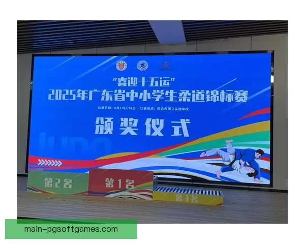 柔道积分榜大揭秘：背后的辉煌与汗水