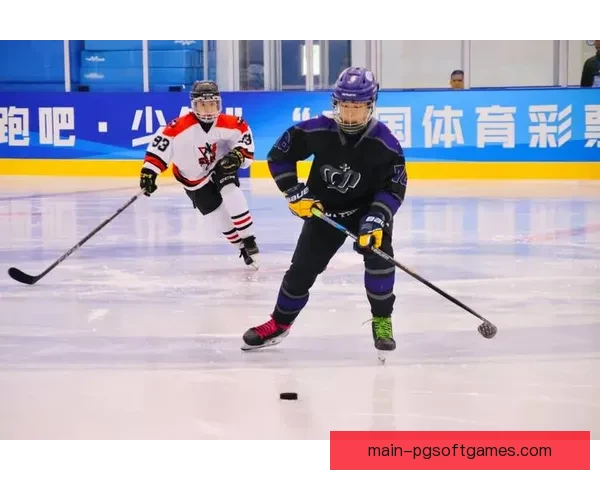 激燃冰球热血战！- 冰球公开赛精彩盛宴