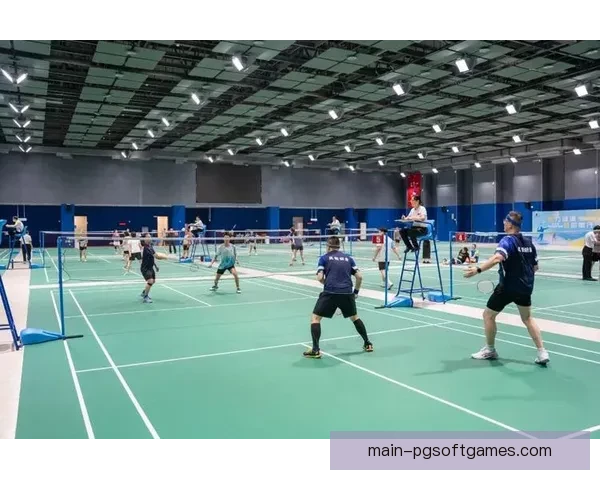 羽毛球赛场上的风云变幻：挑战，胜利与荣耀