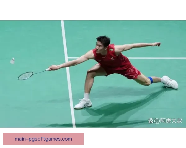 羽毛球冠军的辉煌时刻：夺冠背后的秘密揭秘