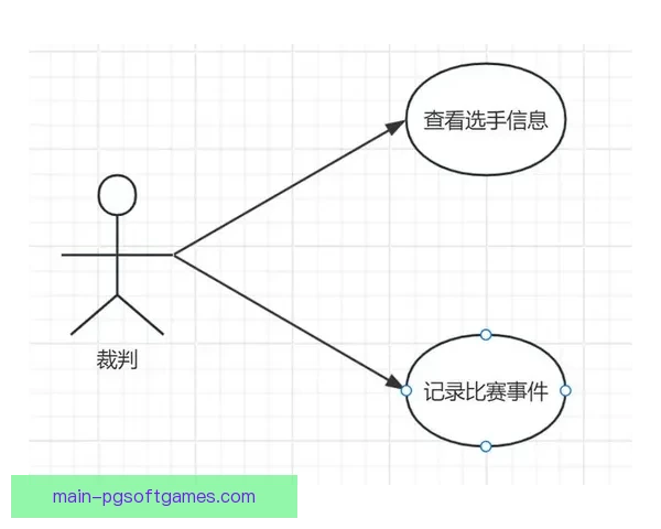 羽毛球比赛：积分制度与规则解析