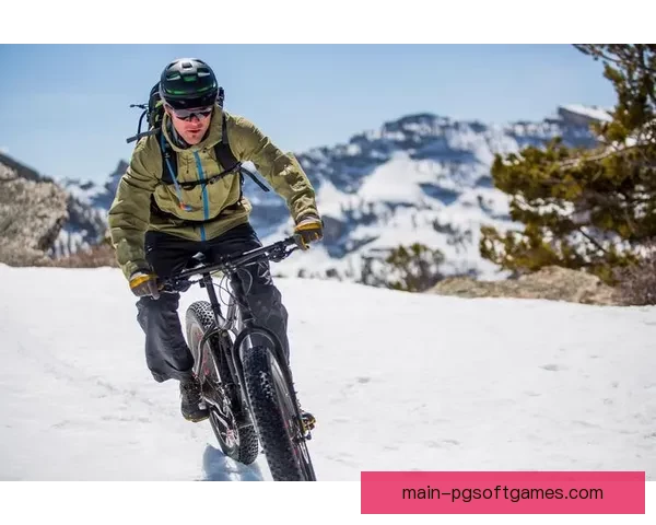 自行车实时比分，畅想骑行乐趣