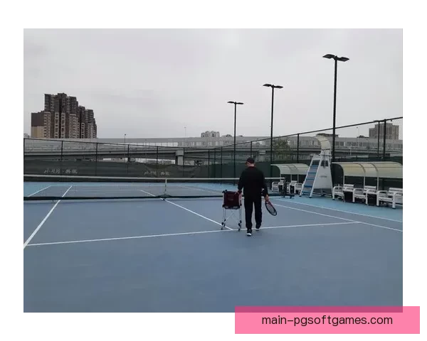 网球入门教程:基本动作技巧及注意事项 网球入门教程:基本动作技巧及注意事项