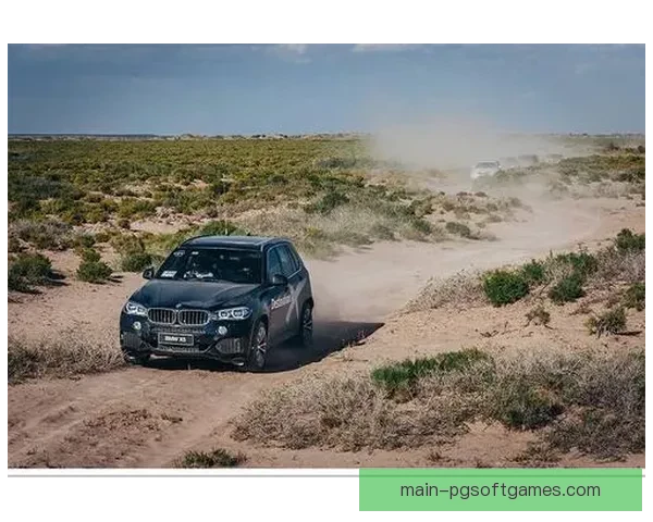 轻松学会越野跑：入门指南