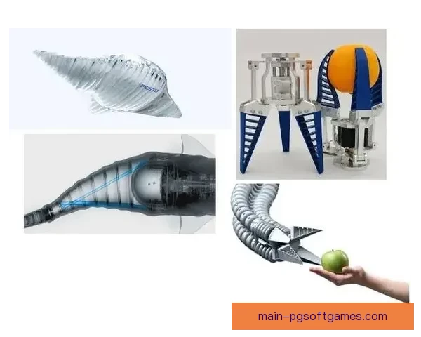 赛艇训练新思路：提高效率，科学训练，突破瓶颈