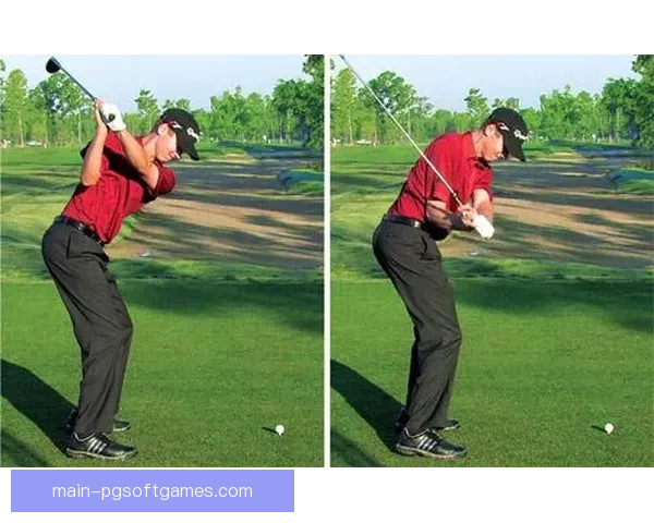 高尔夫投注技巧大揭秘，助你提高赢球几率